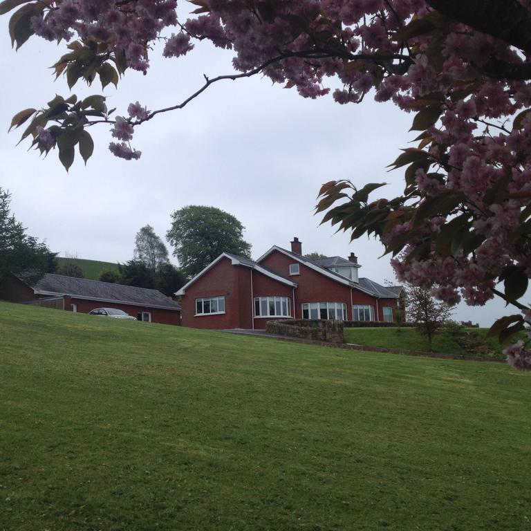 White Hill Country House B&B Castleblayney Exterior foto